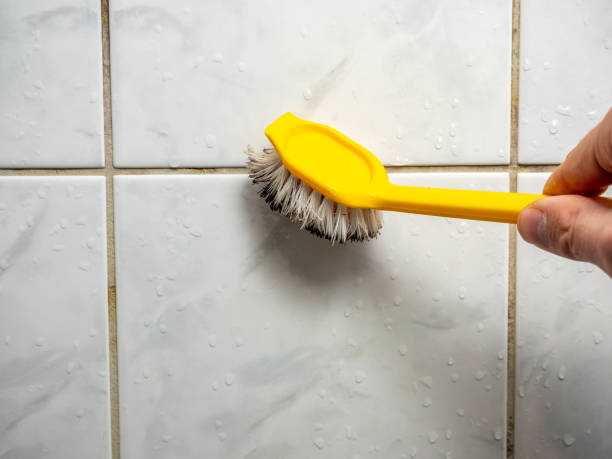 Best Black Mold Removal  in Graceville, FL